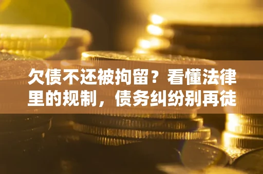 北京欠债不还被拘留？看懂法律里的规制，债务纠纷别再徒劳奔波