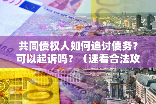 北京共同债权人如何追讨债务？可以起诉吗？（速看合法攻略）