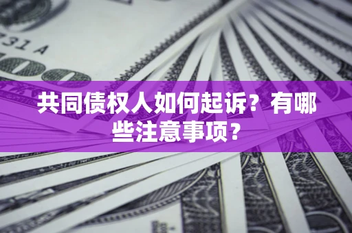 北京共同债权人如何起诉？有哪些注意事项？